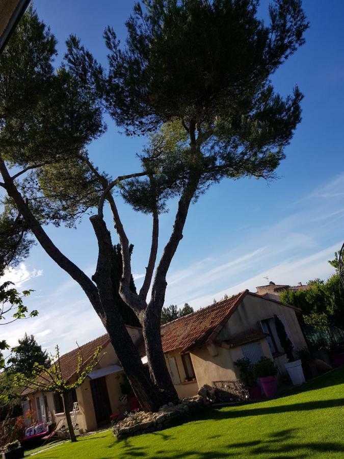 A L'Oree Du Pin Aix-en-Provence Eksteriør billede